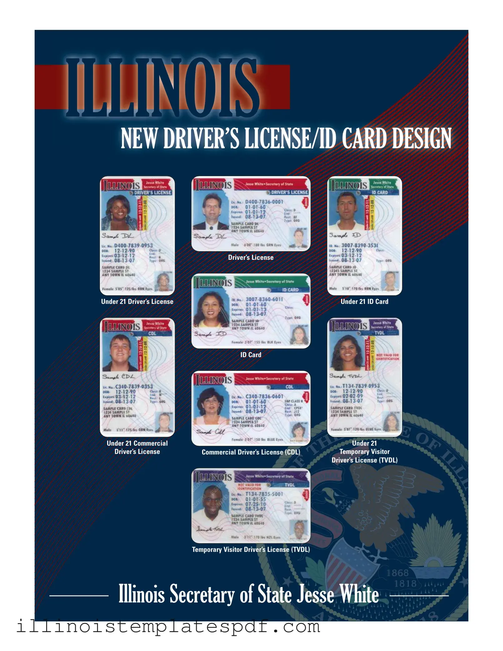 Official Illinois Drivers License Form in PDF