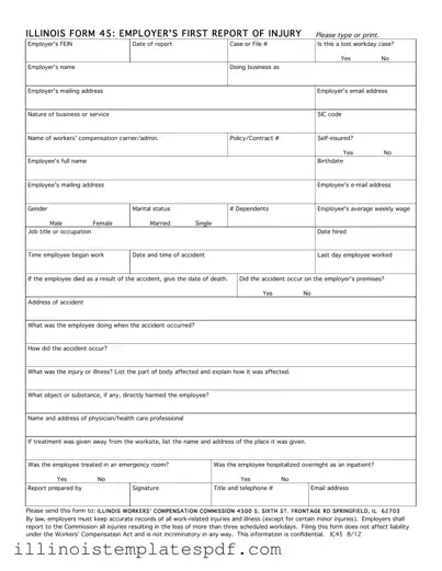 Official Illinois First Report 45 Form in PDF