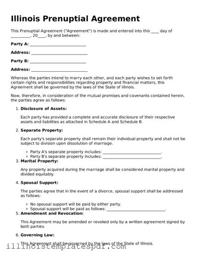Illinois Prenuptial Agreement Template