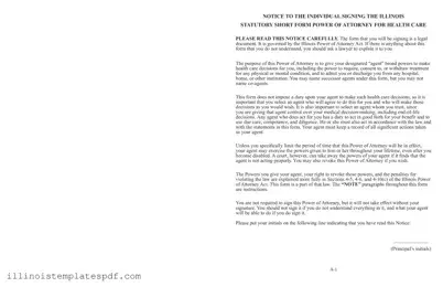 Official Illinois Short Power Form in PDF