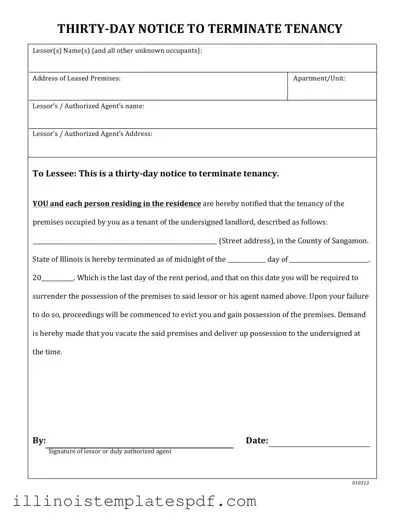 Official Illinois Vacate Form in PDF